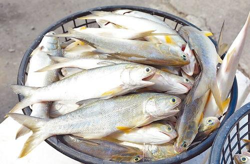 鱼仔最新爆料新闻,娱乐圈最新劲爆新闻揭秘